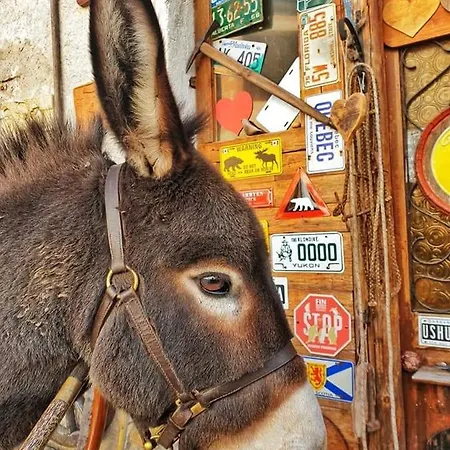 Le Perine 6 招待所 瓦尔多比亚德内