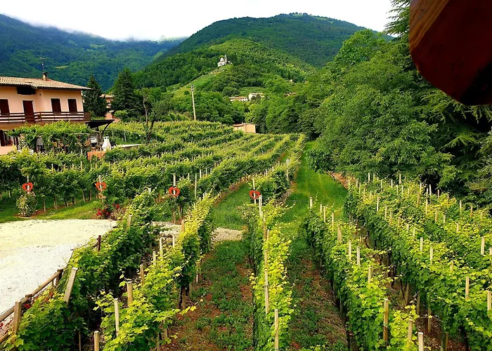 Le Perine 6 Valdobbiadene