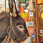 Le Perine 6 Πανσιόν Valdobbiadene