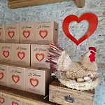 Le Perine 6 Πανσιόν 3*