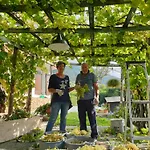 Le Perine 6 Valdobbiadene