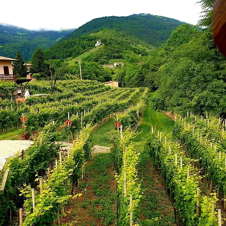 Le Perine 6 Valdobbiadene