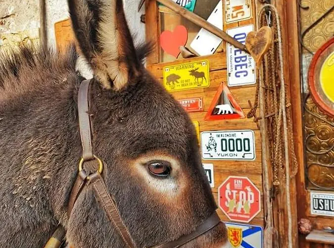 Le Perine 6 בית הארחה ולדוביאדנה